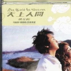 冯晓泉歌曲:雨中花歌词