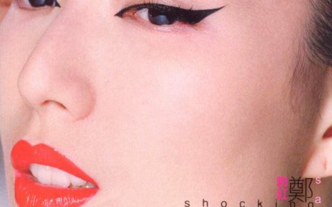 郑秀文歌曲:不能承受的感动歌词