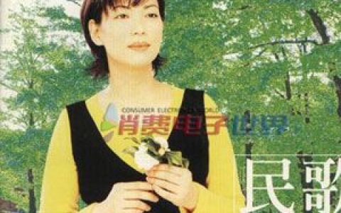 蔡琴歌曲:抉择歌词