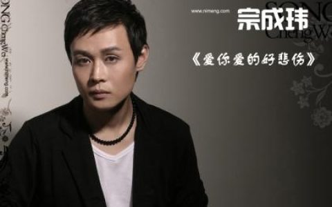 宗成玮歌曲:爱你爱的好悲伤歌词