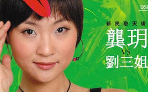 龚玥歌曲:只有山歌敬亲人歌词