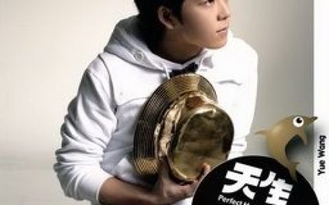 王栎鑫歌曲:再说声sa lang hae yo歌词