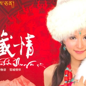 央金兰泽歌曲:天路歌词