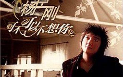 杨臣刚歌曲:可不可以不想你 (伴奏)歌词