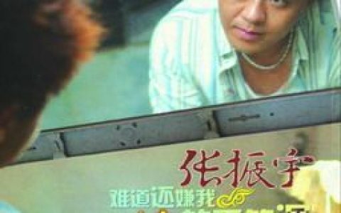 张振宇歌曲:第几次离开我歌词
