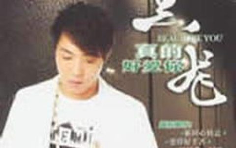 黑龙歌曲:原谅我歌词