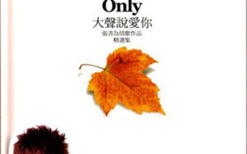 张善为歌曲:失心疯歌词