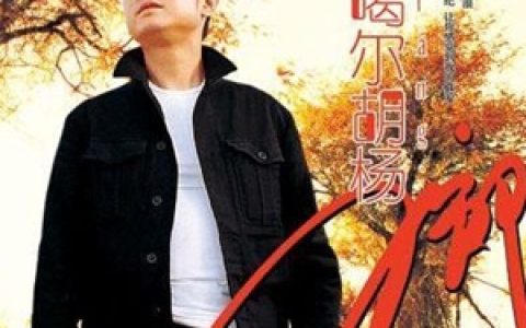 刀郎歌曲:只有艾得勒斯能看见歌词