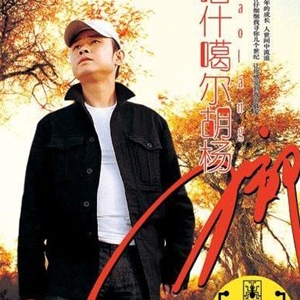 刀郎歌曲:大眼睛歌词