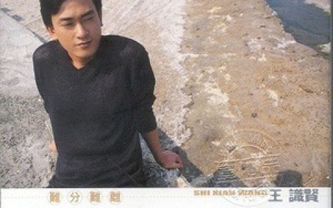 王识贤歌曲:丽娜歌词