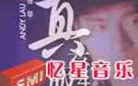 刘德华歌曲:急冻痴情歌词