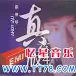 刘德华歌曲:急冻痴情歌词