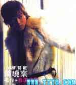 陈晓东歌曲:爱不能(国)歌词