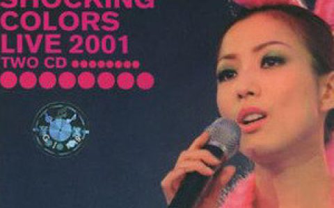 郑秀文歌曲:情无独钟 (音乐版)歌词