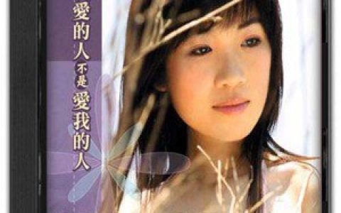向蕙玲歌曲:爱的伤 这呢重歌词