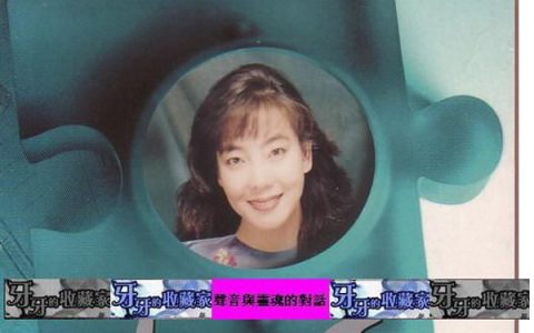 辛晓琪歌曲:告別的紫罗兰歌词