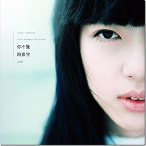 路嘉欣歌曲:我不能飞歌词