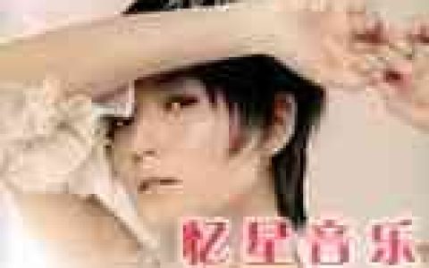 卢巧音歌曲:满天飞歌词
