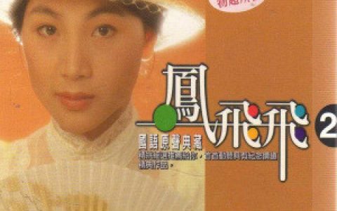 凤飞飞歌曲:多少柔情多少泪歌词