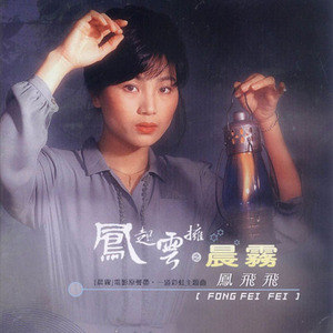凤飞飞歌曲:晨雾歌词