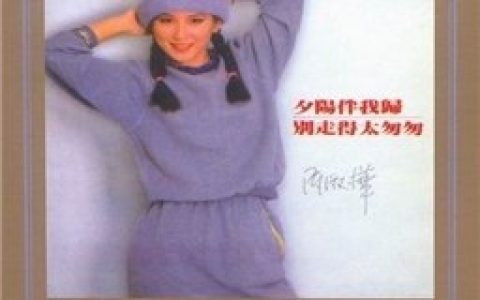 陈淑桦歌曲:改换歌词