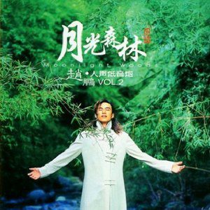 赵鹏歌曲:夜色如水歌词