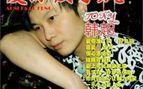 韩超歌曲:有没有一种爱不伤悲歌词