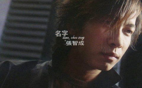 张智成歌曲:明天见歌词