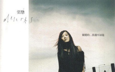 张悬歌曲:模样歌词