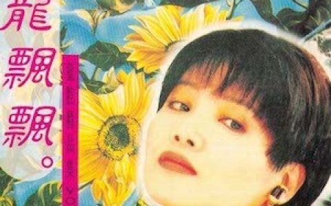 龙飘飘歌曲:美丽的痕迹歌词