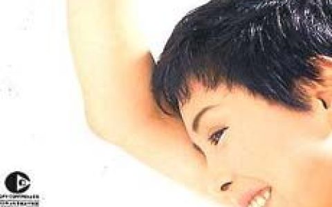 江淑娜歌曲:飘洋过海来看你歌词