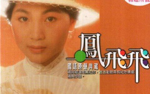 凤飞飞歌曲:寒雨曲歌词