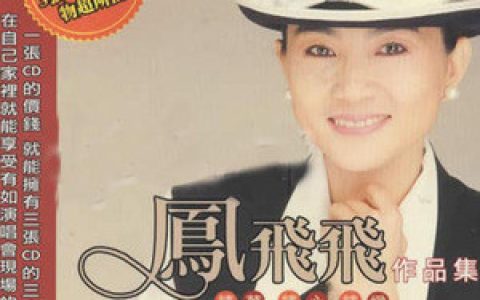 凤飞飞歌曲:夏艳歌词
