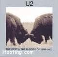 U2歌曲:The hands that build America歌词