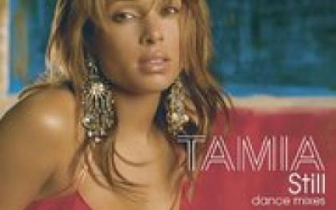Tamia歌曲:Mr Cool Feat Mario Winans歌词