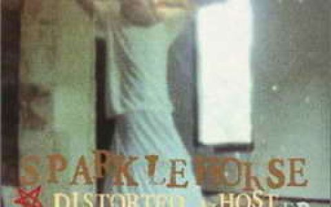 sparklehorse歌曲:waiting for nothing歌词
