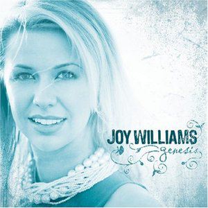 Joy Williams歌曲:Hide歌词