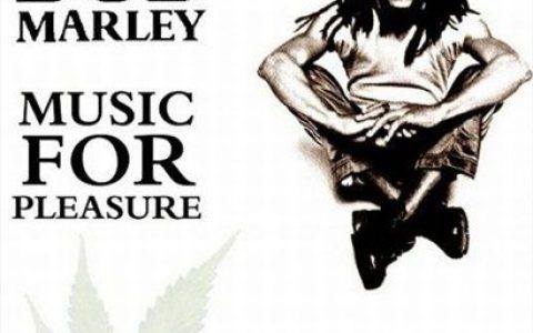 Bob Marley歌曲:keep on moving歌词