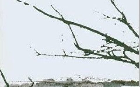 Tenhi歌曲:Varis eloinen歌词