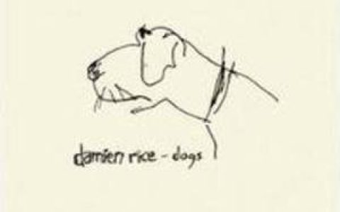 Damien Rice歌曲:Dogs歌词