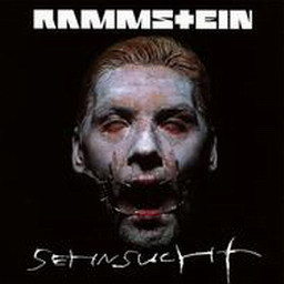 Rammstein歌曲:Spiel Mit Mir歌词