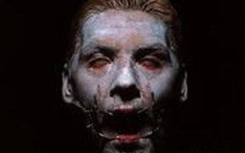 Rammstein歌曲:sehnsucht歌词