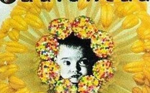 Radiohead歌曲:Anyone Can Play Guitar歌词