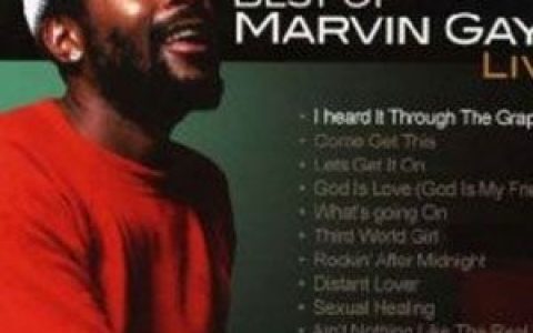 Marvin Gaye歌曲:What s Going on歌词