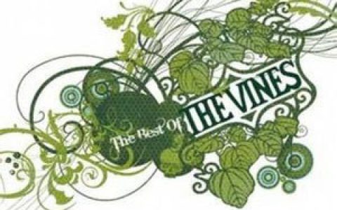 The Vines歌曲:anysound歌词