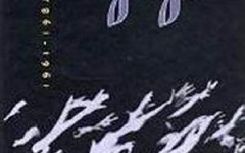Marvin Gaye歌曲:Stubborn Kind of Fellow歌词