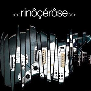 Rinocerose歌曲:inacceptable歌词