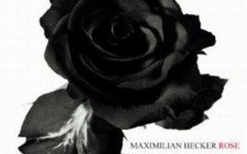 Maximilian Hecker歌曲:Never Ending Days歌词
