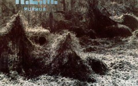 R.E.M.歌曲:radio free europe歌词