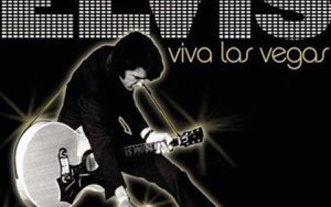 Elvis Presley歌曲:POLK SALAD ANNIE歌词